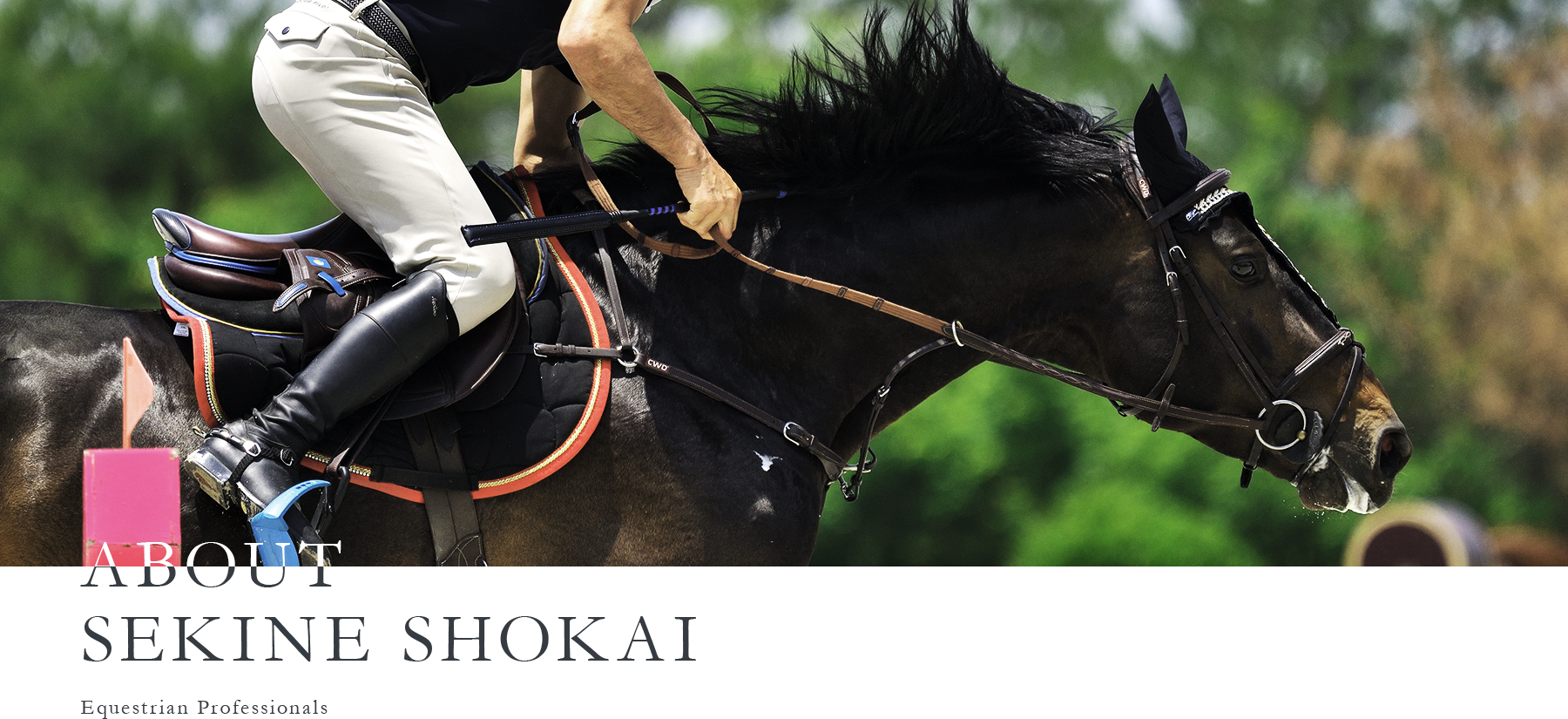 ABOUT SEKINE SHOKAI Equestrian Professionals